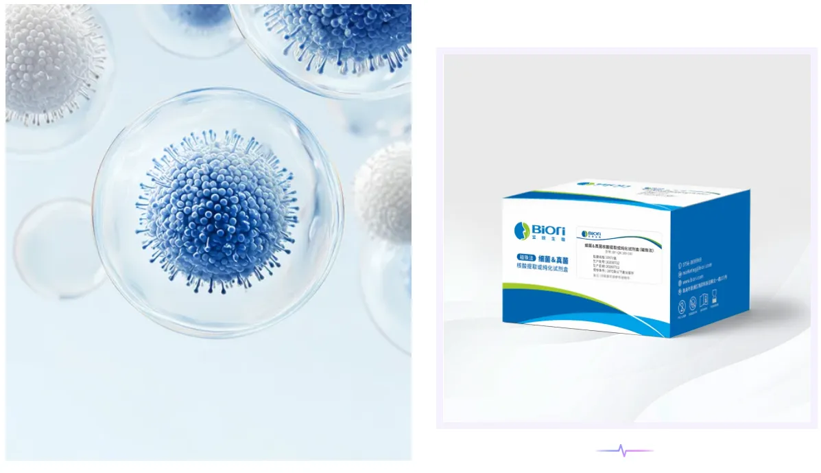 012026022715541300.png 012026022715541300.png