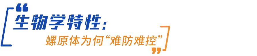 012026051809322172.png