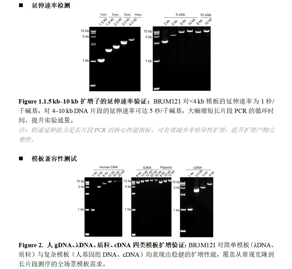 012026090711590935.png