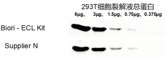 012026101417431153.png