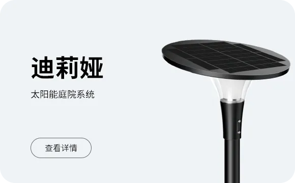 迪莉娅
