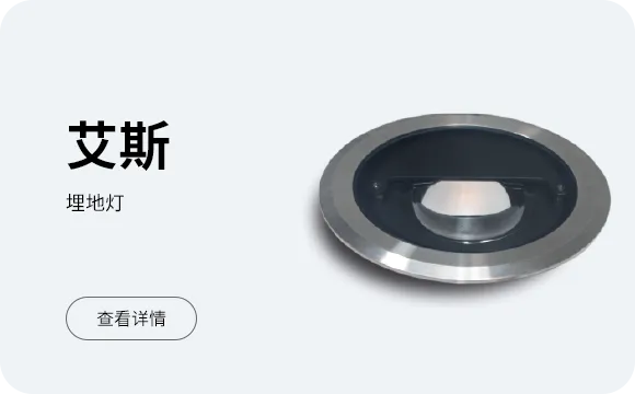 艾斯