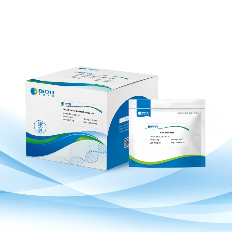BCA Protein Quantification Kit