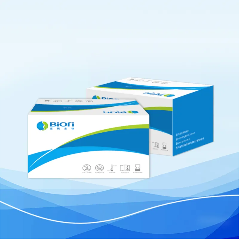 核酸提取或纯化试剂盒Ⅰ（磁珠法）