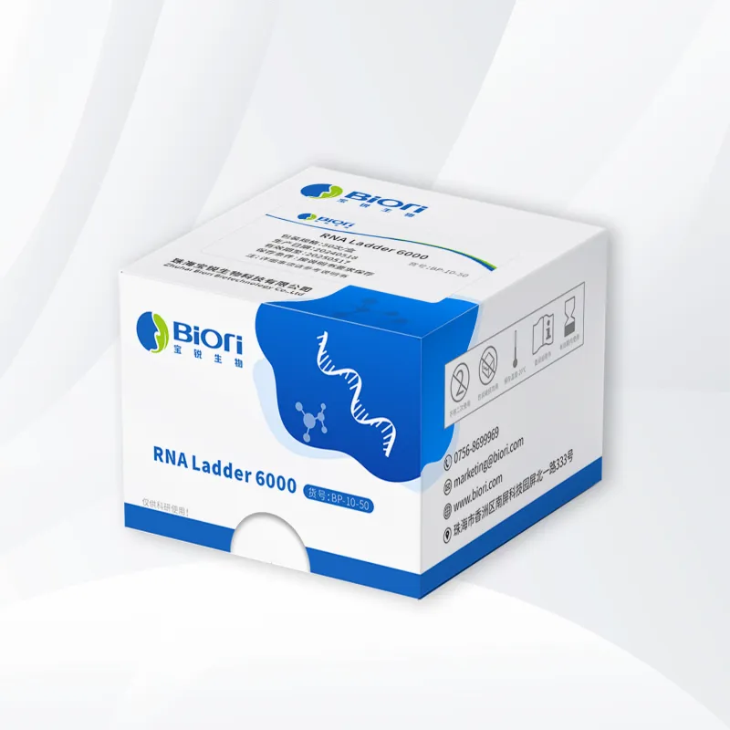 RNA Ladder 6000