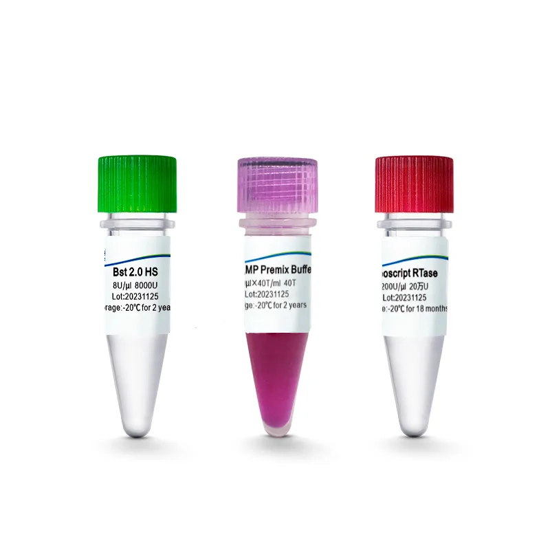 2×Colorimetric RT-LAMP Premix (RY)