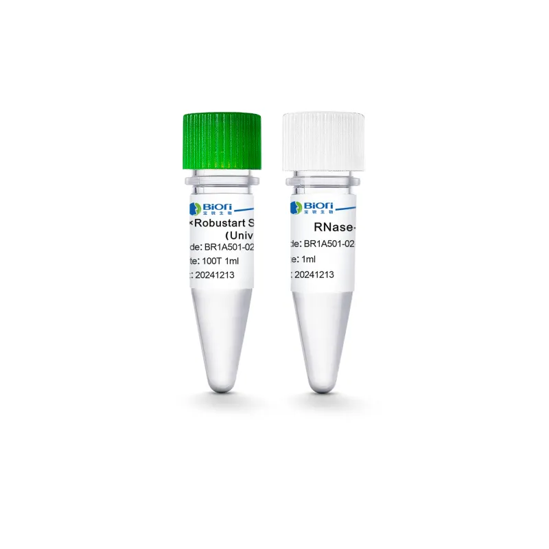 2× Robustart SYBR qPCR Premix (Universal ROX)