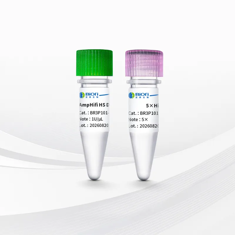 AmpHifi HS DNA Polymerase Ⅰ