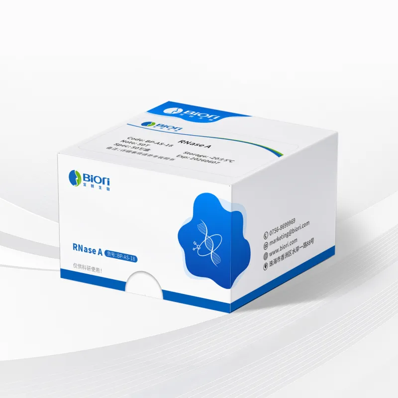 RNase series products
