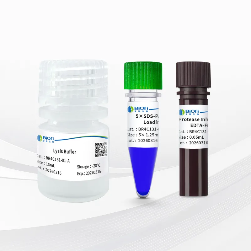 Universal Cell Total Protein Extraction Kit