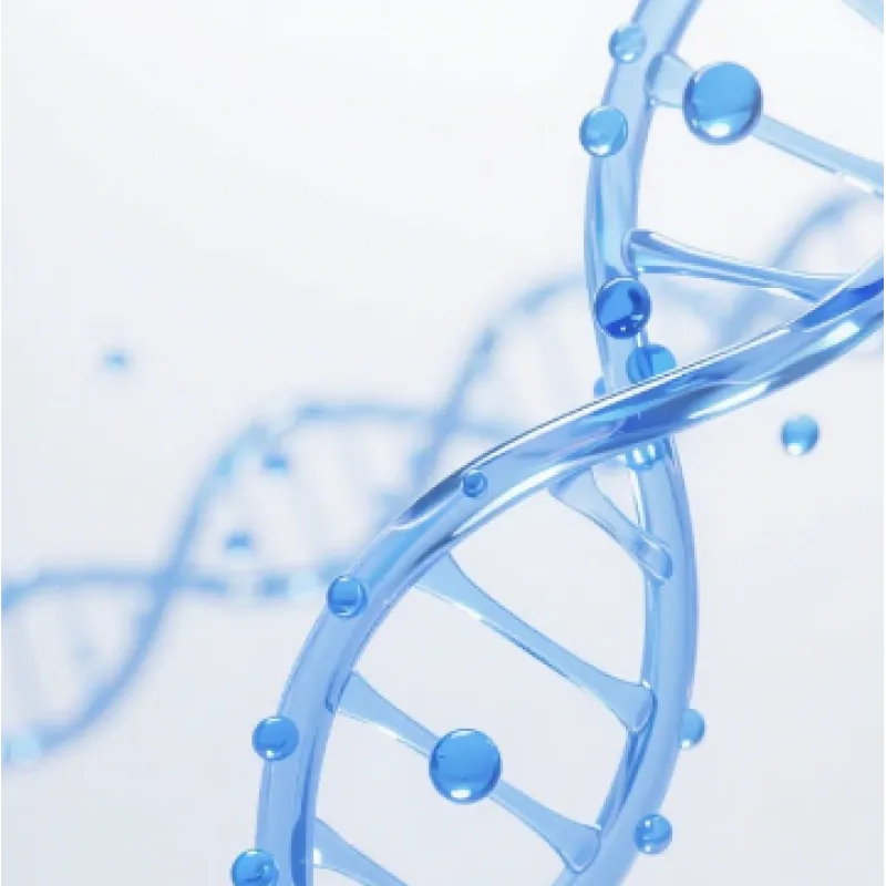 HinP1Ⅰ限制性内切酶